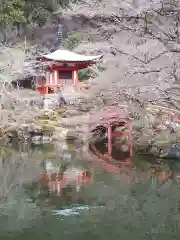 醍醐寺(京都府)