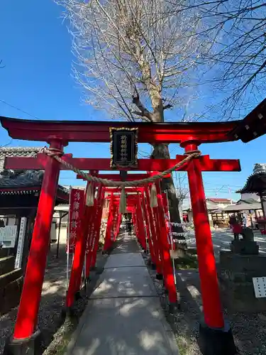 於菊稲荷神社の鳥居