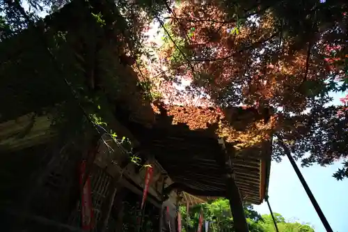 巖倉寺の本殿・本堂