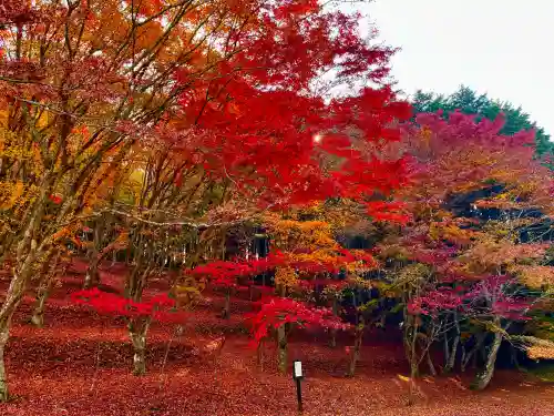 栄存神社(宮城県)