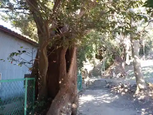 羽黒神社の自然