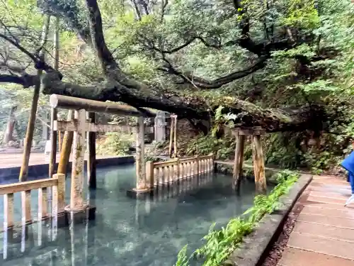 鹿島神宮の{uncategorized: "未分類", other: "その他", undefined: "問題あり", building: "その他建物", grave: "お墓", sacred_gate: "鳥居", guardian: "狛犬", statue: "像", buddha: "仏像", history: "歴史", nature: "自然", garden: "庭園", animal: "動物", pagoda: "塔", temizu: "手水舎", mountain_gate: "山門・神門", sanctuary: "本殿・本堂", subordinate: "末社・摂社", art: "芸術", scenery: "景色", jizo: "地蔵", ema: "絵馬", goshuin: "御朱印", omikuji: "おみくじ", items: "授与品その他", amulet: "お守り", goshuincho: "御朱印帳", eats: "食事", festival: "お祭り", votive_dance: "神楽", shichigosan: "七五三参", wedding: "結婚式", experience: "体験その他", initially: "初詣", around: "周辺", anti_infection: "感染症対策"}