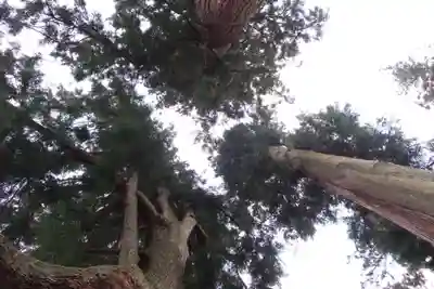 妙義神社(群馬県)