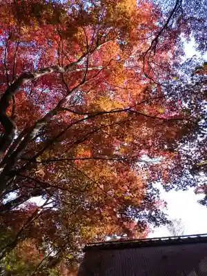 教林坊(滋賀県)
