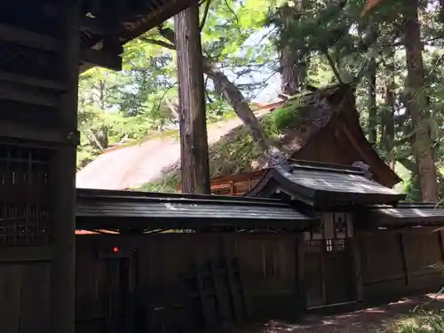 諏訪大社下社春宮の本殿・本堂