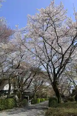 西教寺(滋賀県)