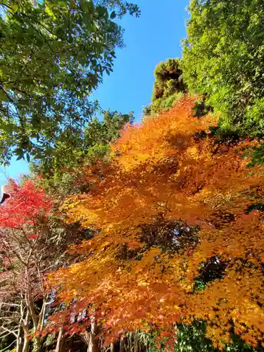滑川神社 - 仕事と子どもの守り神(福島県)