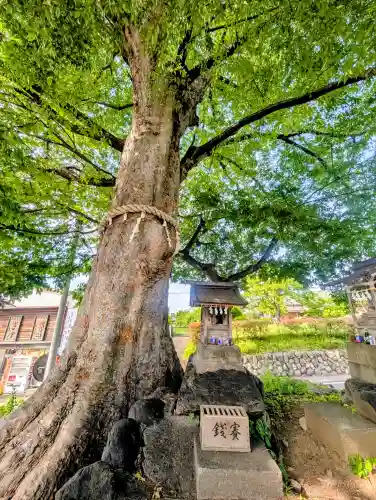 山神宮の{uncategorized: "未分類", other: "その他", undefined: "問題あり", building: "その他建物", grave: "お墓", sacred_gate: "鳥居", guardian: "狛犬", statue: "像", buddha: "仏像", history: "歴史", nature: "自然", garden: "庭園", animal: "動物", pagoda: "塔", temizu: "手水舎", mountain_gate: "山門・神門", sanctuary: "本殿・本堂", subordinate: "末社・摂社", art: "芸術", scenery: "景色", jizo: "地蔵", ema: "絵馬", goshuin: "御朱印", omikuji: "おみくじ", items: "授与品その他", amulet: "お守り", goshuincho: "御朱印帳", eats: "食事", festival: "お祭り", votive_dance: "神楽", shichigosan: "七五三参", wedding: "結婚式", experience: "体験その他", initially: "初詣", around: "周辺", anti_infection: "感染症対策"}