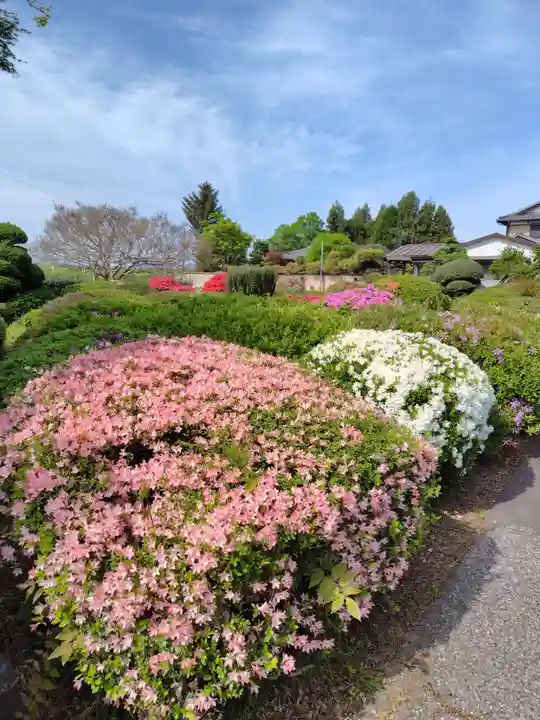 永徳寺(群馬県)