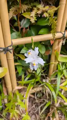 呑山観音寺(福岡県)