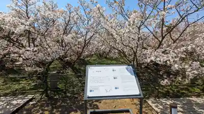 仁和寺(京都府)