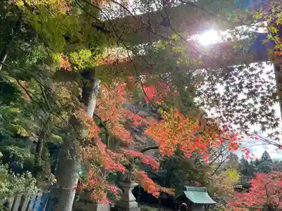 胡宮神社（敏満寺史跡）(滋賀県)