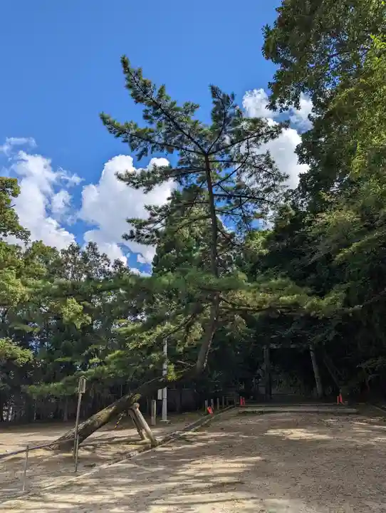 石清水八幡宮(京都府)