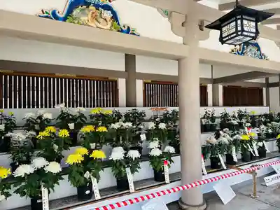 湯島天満宮(東京都)