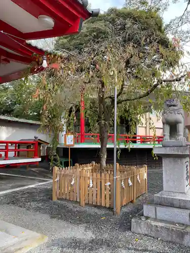 米之宮浅間神社の自然