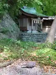 事任八幡宮の動物