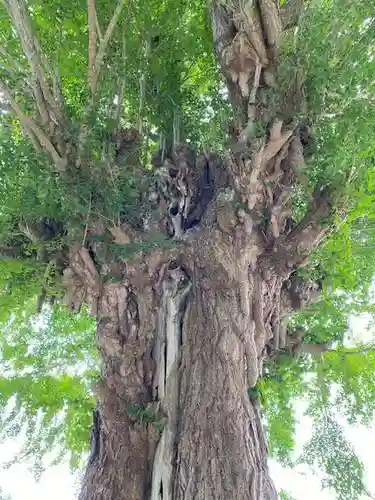 普賢寺(福島県)