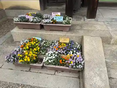 道明寺(大阪府)