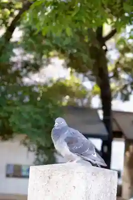 金王八幡宮(東京都)