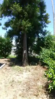 香取神社(埼玉県)