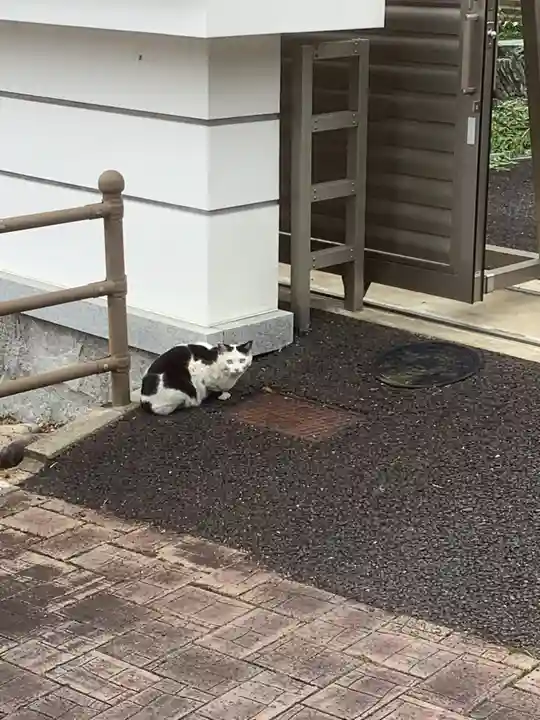 立蔵寺(岐阜県)