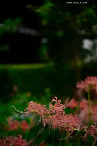横浜　西方寺(神奈川県)