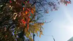 尾張大國霊神社（国府宮）の自然