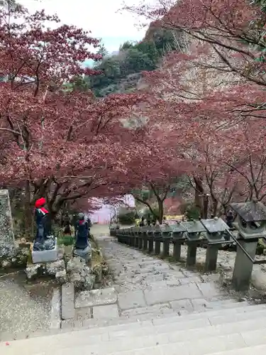 大山寺(神奈川県)
