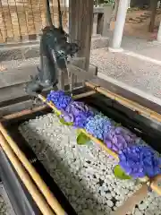 江南神社の手水