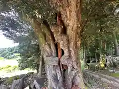 佐々木神社(京都府)