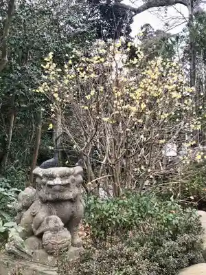 鶴峯八幡宮(千葉県)
