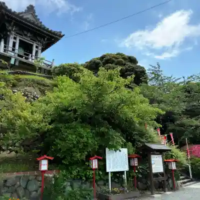 大船観音寺(神奈川県)