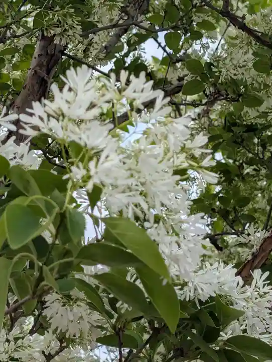石濱神社(東京都)