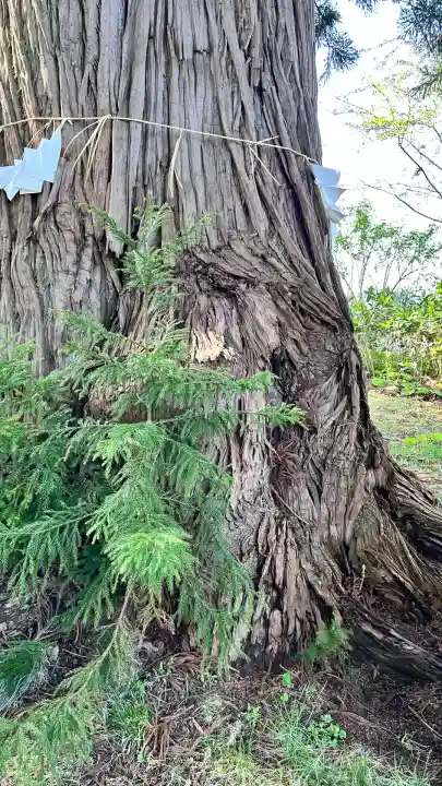 荒神社(北海道)