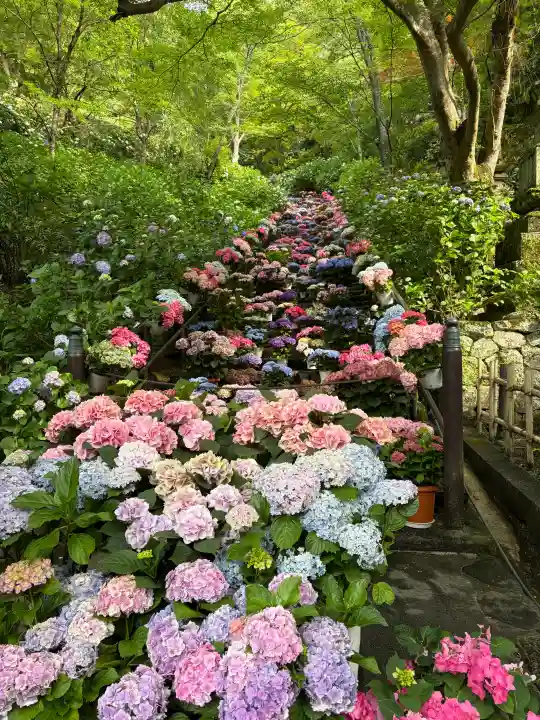 長谷寺(奈良県)
