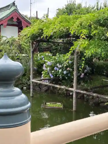亀戸天神社(東京都)