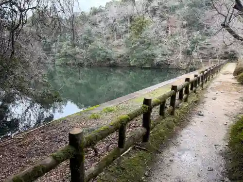 那谷寺の{uncategorized: "未分類", other: "その他", undefined: "問題あり", building: "その他建物", grave: "お墓", sacred_gate: "鳥居", guardian: "狛犬", statue: "像", buddha: "仏像", history: "歴史", nature: "自然", garden: "庭園", animal: "動物", pagoda: "塔", temizu: "手水舎", mountain_gate: "山門・神門", sanctuary: "本殿・本堂", subordinate: "末社・摂社", art: "芸術", scenery: "景色", jizo: "地蔵", ema: "絵馬", goshuin: "御朱印", omikuji: "おみくじ", items: "授与品その他", amulet: "お守り", goshuincho: "御朱印帳", eats: "食事", festival: "お祭り", votive_dance: "神楽", shichigosan: "七五三参", wedding: "結婚式", experience: "体験その他", initially: "初詣", around: "周辺", anti_infection: "感染症対策"}