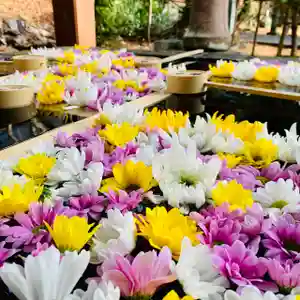 土津神社|こどもと出世の神さまの手水舎(2020年12月07日(月) 09時41分16秒投稿)