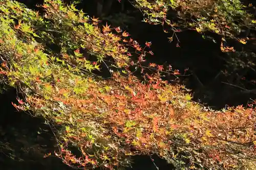 貴船神社の景色