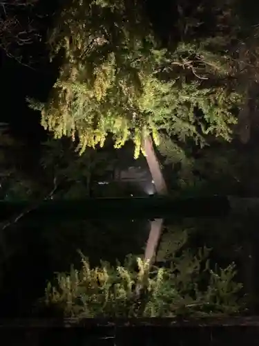 円通寺(栃木県)