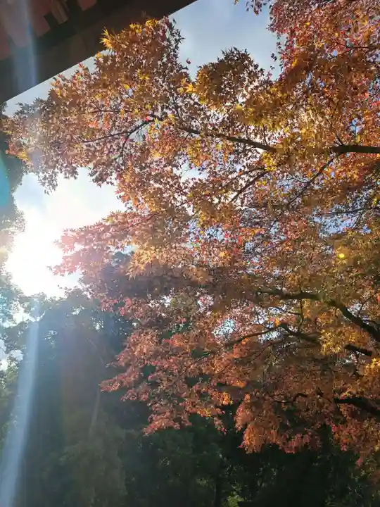 春日大社(奈良県)