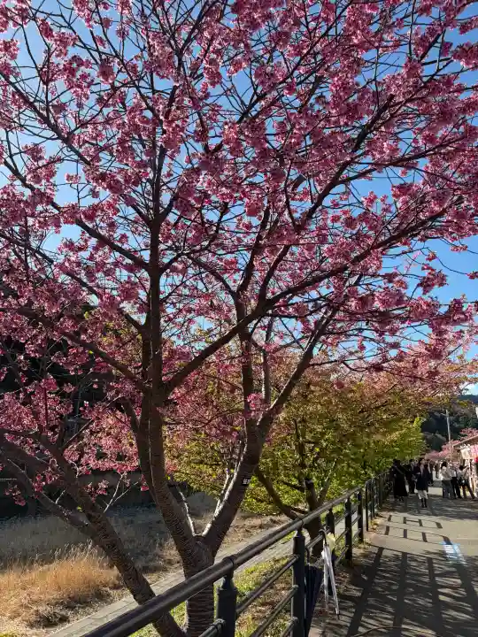 かっぱの寺 栖足寺の{uncategorized: "未分類", other: "その他", undefined: "問題あり", building: "その他建物", grave: "お墓", sacred_gate: "鳥居", guardian: "狛犬", statue: "像", buddha: "仏像", history: "歴史", nature: "自然", garden: "庭園", animal: "動物", pagoda: "塔", temizu: "手水舎", mountain_gate: "山門・神門", sanctuary: "本殿・本堂", subordinate: "末社・摂社", art: "芸術", scenery: "景色", jizo: "地蔵", ema: "絵馬", goshuin: "御朱印", omikuji: "おみくじ", items: "授与品その他", amulet: "お守り", goshuincho: "御朱印帳", eats: "食事", festival: "お祭り", votive_dance: "神楽", shichigosan: "七五三参", wedding: "結婚式", experience: "体験その他", initially: "初詣", around: "周辺", anti_infection: "感染症対策"}