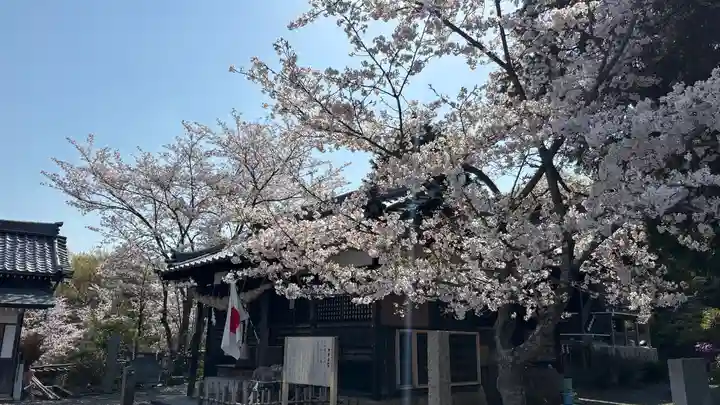 吉備津岡辛木神社(岡山県)