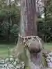 八幡神社(岐阜県)