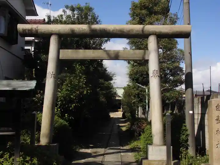 白髭神社の鳥居