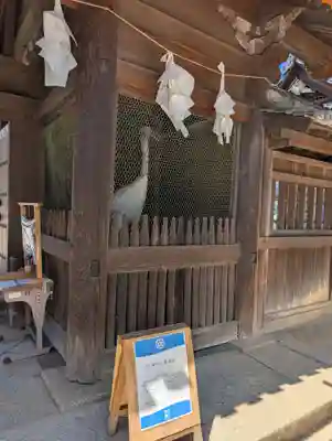 白鳥神社(香川県)