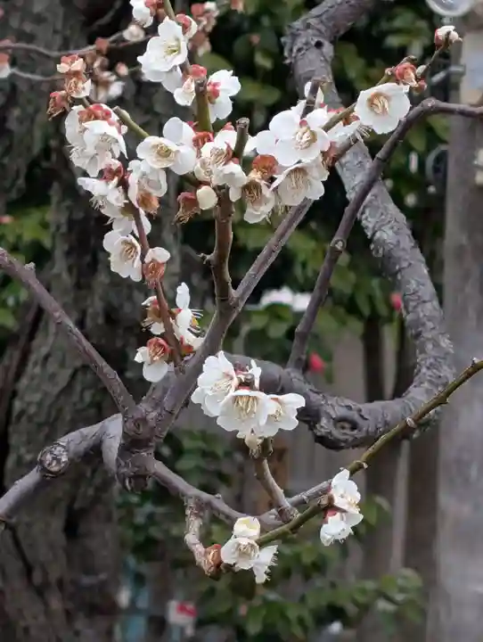 慶珊寺(神奈川県)