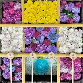 土津神社｜こどもと出世の神さま(福島県)