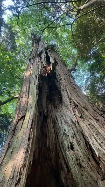 香取神宮(千葉県)