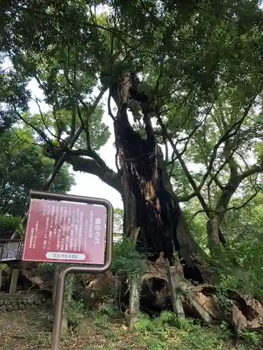 都萬神社の自然